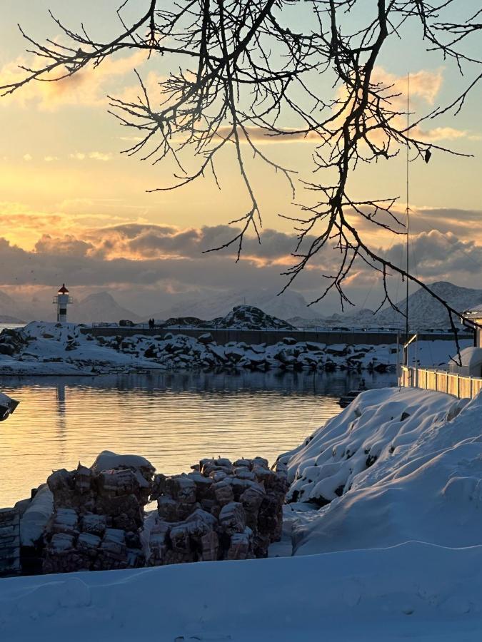 Lofoten Kabelvag-Small Apartment Экстерьер фото